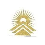 AP MET ENGG LTD. logo