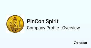 PINCON SPIRIT LTD. logo