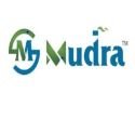 Mudra Sugar Industries (India) Pvt.Ltd, Pune logo