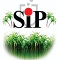 Siddhesh Industrial Products logo