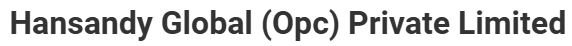 HANSANDY GLOBAL(OPC) PVT IMITED logo