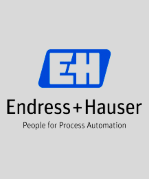 Endress+Hauser India logo