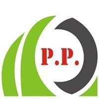 P.P. Goyal Industries logo