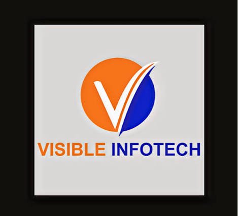 Visible Infotech Pvt. Ltd. logo