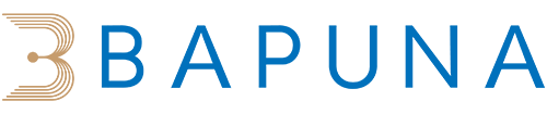 Bapuna Brewers / Bapuna Alcobrew - Gwalior Unit logo