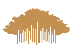 Big Banyan Winery logo