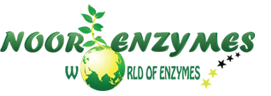 Noor Enzymes Group logo