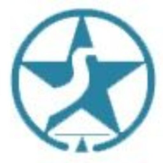 Star Balancing logo