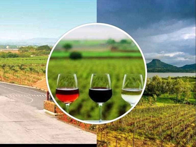 3 Wineries to be setup soon after UP Govt. Ease out Norms