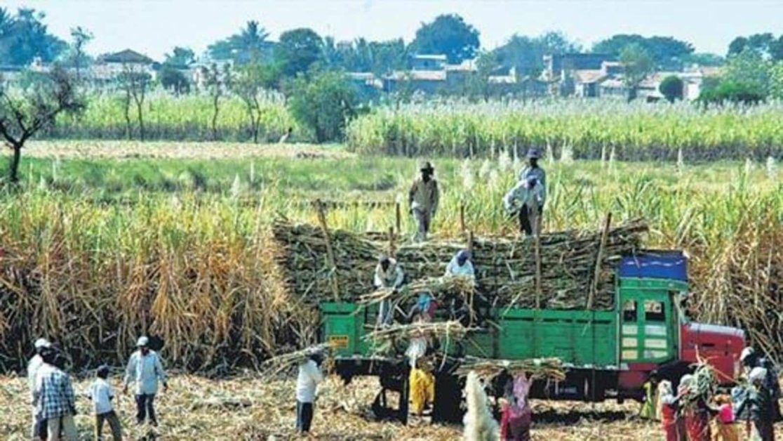 New ethanol targets reshape India’s food policy