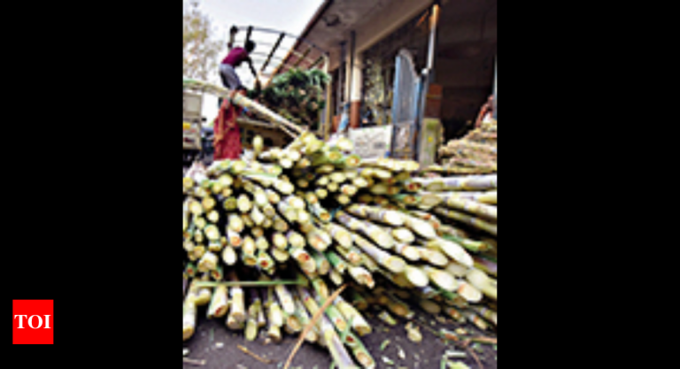 Chhattisgarh govt to fast-track process of ethanol production plants