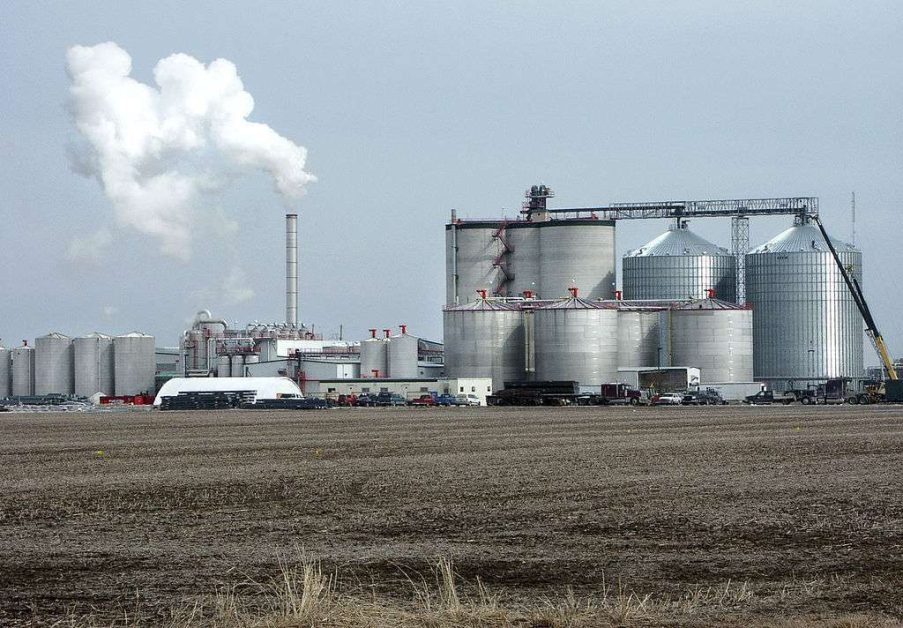 UP to begin ethanol production from cane from October