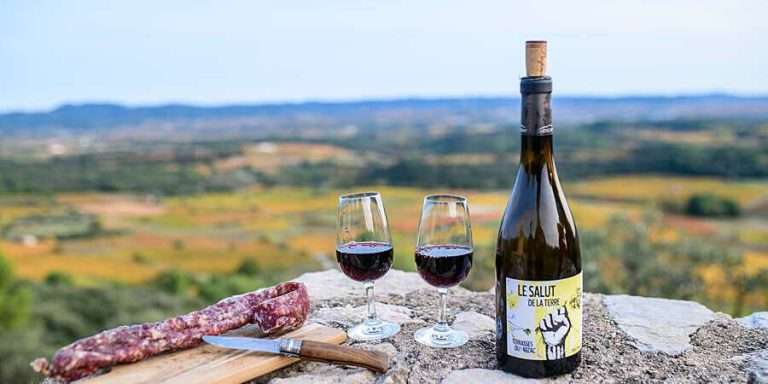 UP Promotes Wine Industry, Encourages Setting up Wine Producing Units