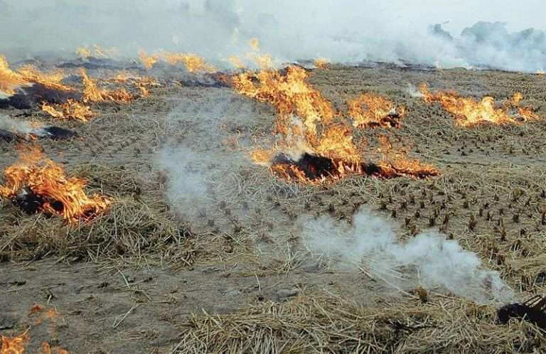 Stubble trouble: Ethanol, biogas plants on anvil in Panipat, Kaithal