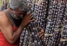 Sugar production estimated to be 350 lakh tonnes