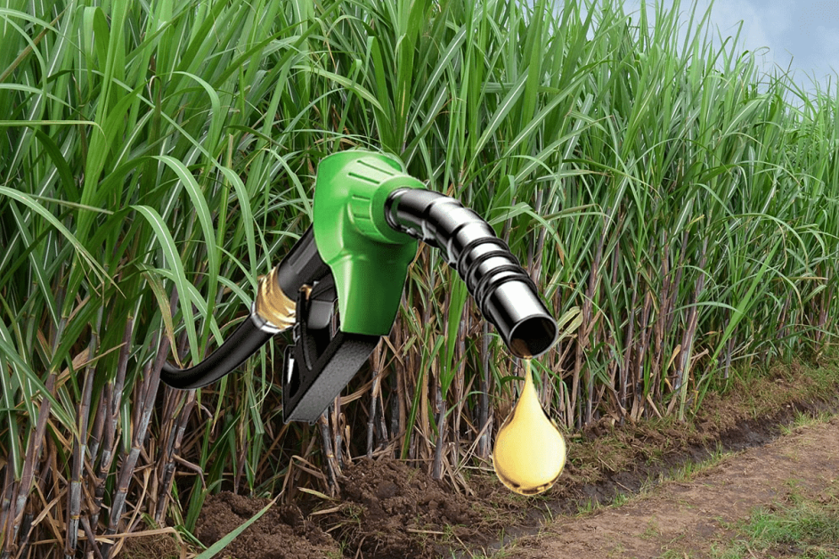 India Achieves 10 Per Cent Ethanol Blending Target Ahead Of Deadline