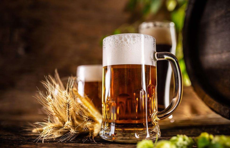 The beer pricing conundrum - The Hindu BusinessLine Report