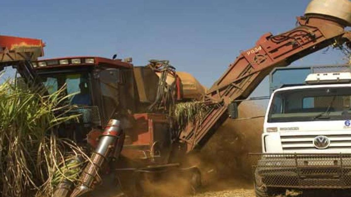 Will Shree Renuka Sugars’ Rally Continue On The Back Of Increased Ethanol Blending?