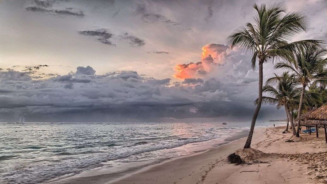 Now you cannot drink alcohol and cook on Goa beaches; police to take action against violators