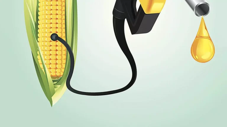 Oil Marketing Companies Seek Bids for Ethanol Supply in ESY 2023-24