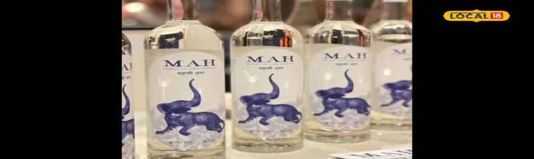 छत्तीसगढ़ की महुआ शराब की विश्व में बढ़ी डिमांड, फ्रांस में 3500 रुपए की बिक रही एक बोतल