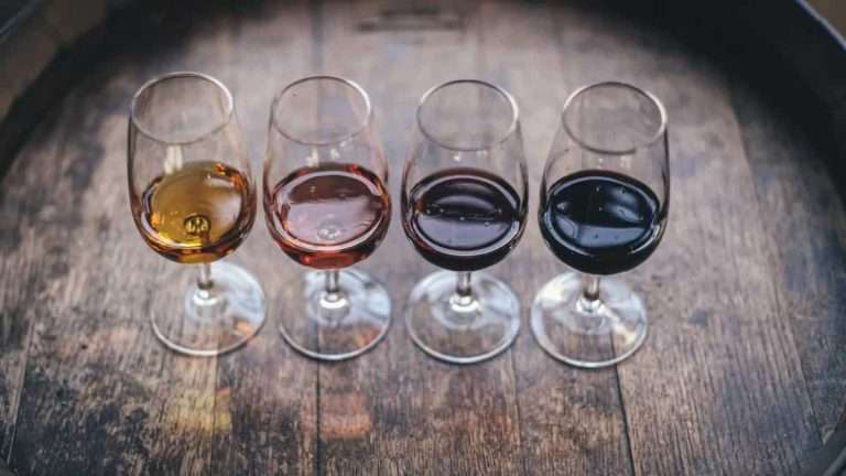 Kerala’s Wine Brand “Nila” Set to Grace Indian Market with Delectable Fruit Wines