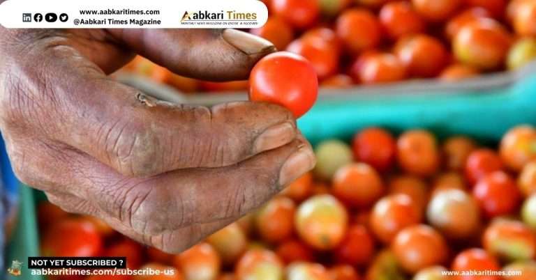 Wine from tomatoes? Government to support 28 projects to reduce waste and stabilize prices