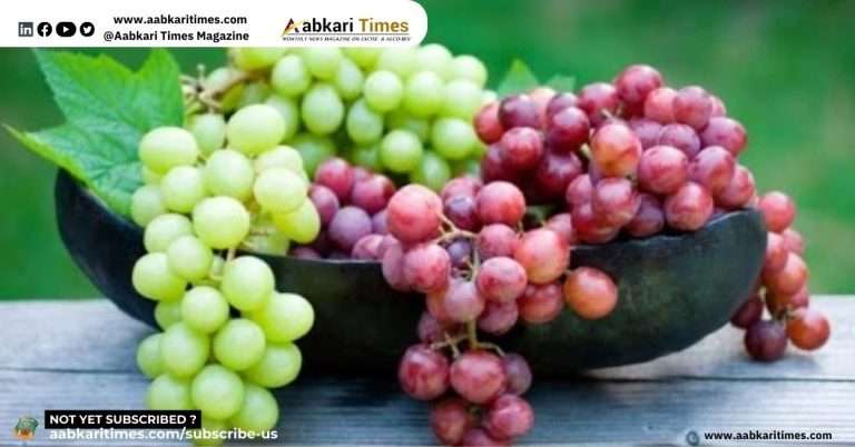 अंगूर के दाम होंगे 50 रुपये प्रति किग्रा