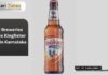United Breweries Launches Kingfisher Smooth in Karnataka